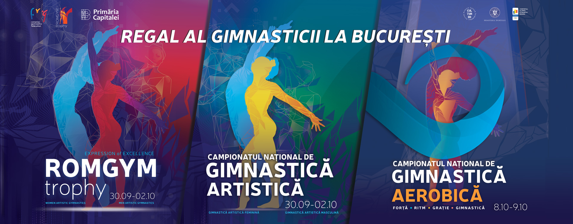 Campionatul Național de Gimnastică Artistică-